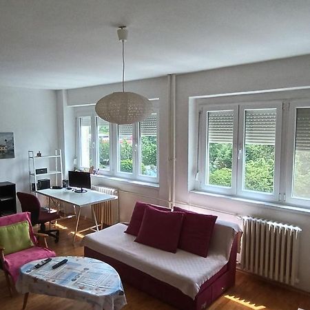 Viva Apartment Skopje Esterno foto
